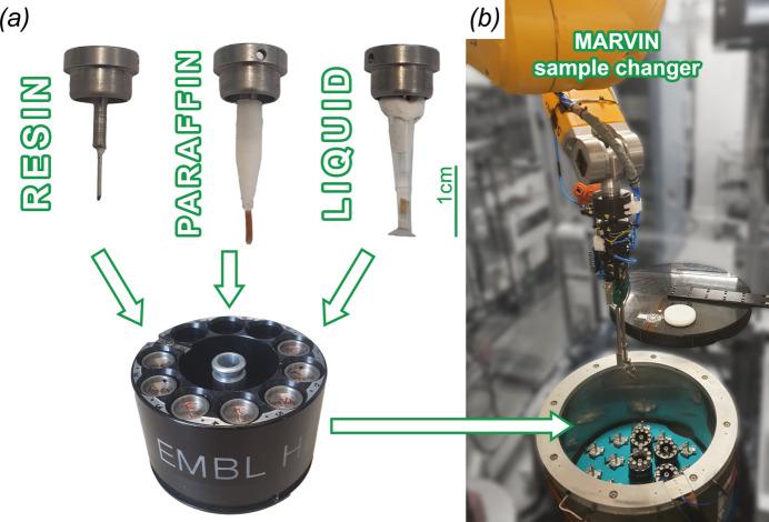 https://cdn.ncbi.nlm.nih.gov/pmc/blobs/df6a/10833423/1d10aed87ee8/s-31-00186-fig2.jpg