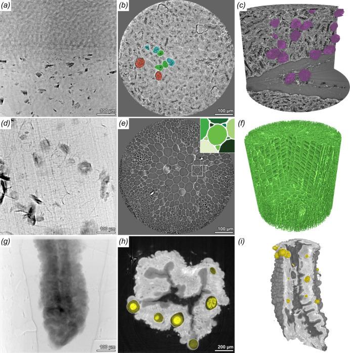 https://cdn.ncbi.nlm.nih.gov/pmc/blobs/df6a/10833423/dd74ce64d249/s-31-00186-fig4.jpg