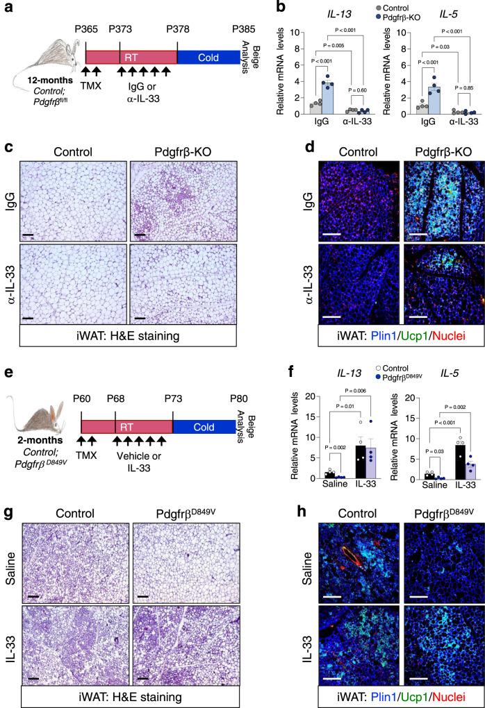 https://cdn.ncbi.nlm.nih.gov/pmc/blobs/df6b/10066302/61ec05286ebd/41467_2023_37386_Fig5_HTML.jpg