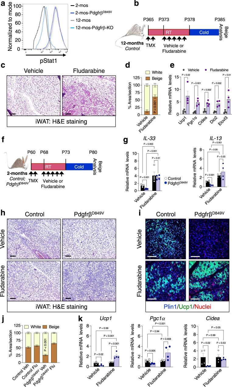 https://cdn.ncbi.nlm.nih.gov/pmc/blobs/df6b/10066302/ab5e24e6a93b/41467_2023_37386_Fig6_HTML.jpg