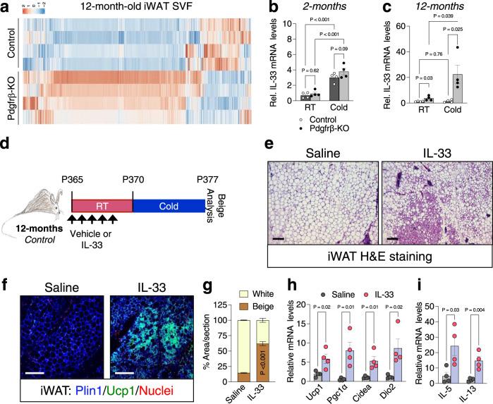 https://cdn.ncbi.nlm.nih.gov/pmc/blobs/df6b/10066302/c3d41f2c0a7d/41467_2023_37386_Fig4_HTML.jpg
