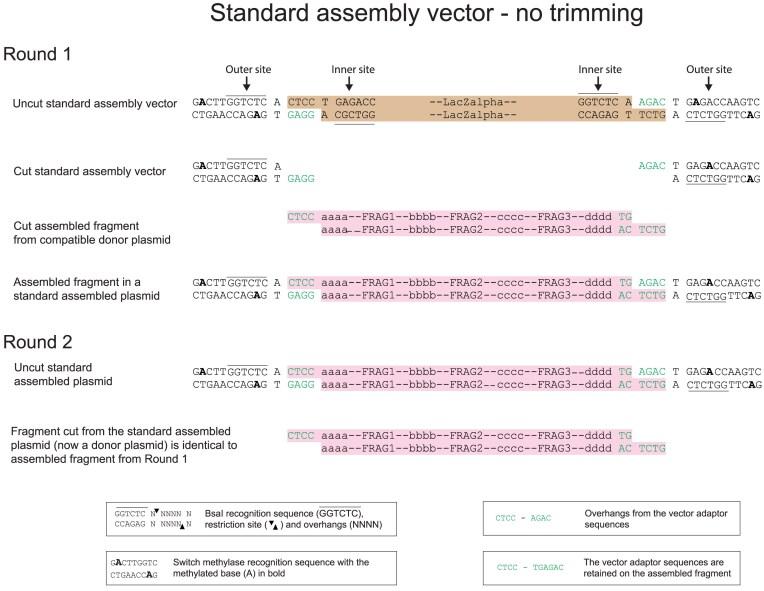 https://cdn.ncbi.nlm.nih.gov/pmc/blobs/df6b/12205989/213aa3da853e/gkaf548fig4.jpg