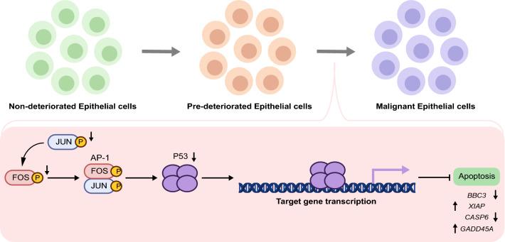 https://cdn.ncbi.nlm.nih.gov/pmc/blobs/df6d/9875500/383296c9af5c/12967_2023_3890_Fig6_HTML.jpg