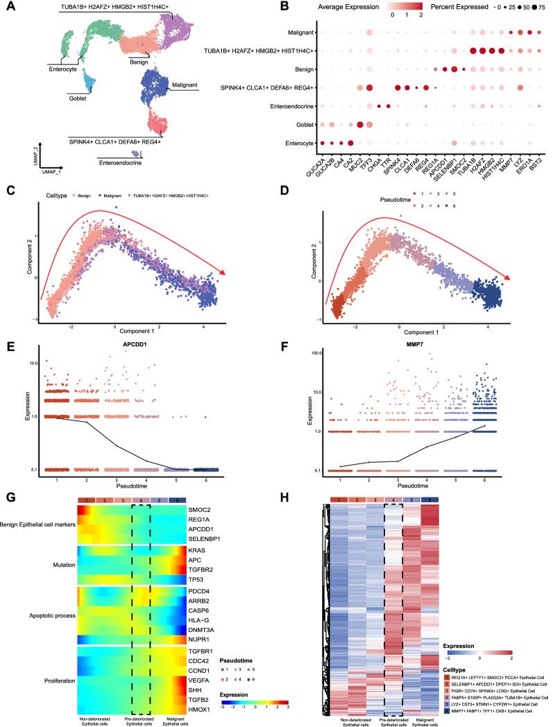 https://cdn.ncbi.nlm.nih.gov/pmc/blobs/df6d/9875500/a8b82c8845a6/12967_2023_3890_Fig2_HTML.jpg