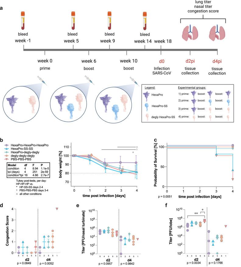 https://cdn.ncbi.nlm.nih.gov/pmc/blobs/df6e/10879192/69e796d6d0b9/41467_2024_45404_Fig7_HTML.jpg
