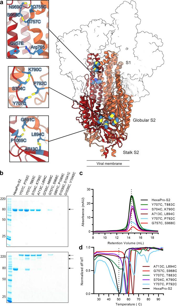 https://cdn.ncbi.nlm.nih.gov/pmc/blobs/df6e/10879192/fa3d5b20592b/41467_2024_45404_Fig1_HTML.jpg