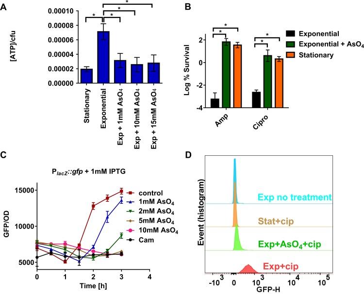 https://cdn.ncbi.nlm.nih.gov/pmc/blobs/df6e/5296605/f732d2cecd5e/mbo0011731790004.jpg