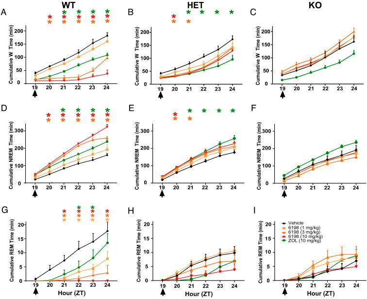https://cdn.ncbi.nlm.nih.gov/pmc/blobs/df6f/10068791/cd7b42f57eac/pnas.2214171120fig04.jpg