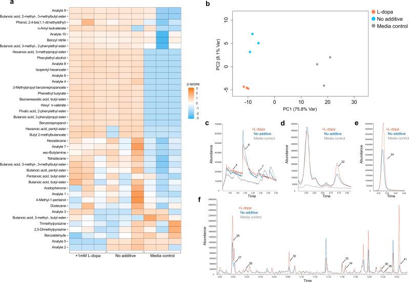 https://cdn.ncbi.nlm.nih.gov/pmc/blobs/df6f/11245815/209ad31fa542/12866_2024_3373_Fig2_HTML.jpg