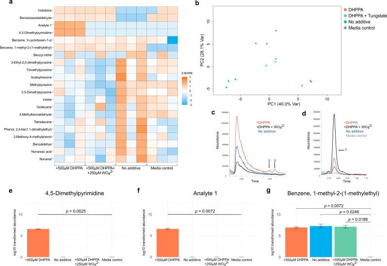 https://cdn.ncbi.nlm.nih.gov/pmc/blobs/df6f/11245815/95ef92db1963/12866_2024_3373_Fig3_HTML.jpg