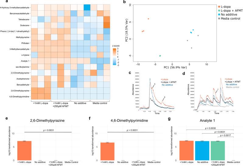 https://cdn.ncbi.nlm.nih.gov/pmc/blobs/df6f/11245815/d219436b1998/12866_2024_3373_Fig1_HTML.jpg