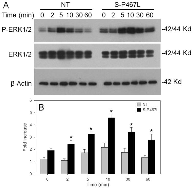 https://cdn.ncbi.nlm.nih.gov/pmc/blobs/df70/4133177/0b56c9623920/pone.0103786.g004.jpg