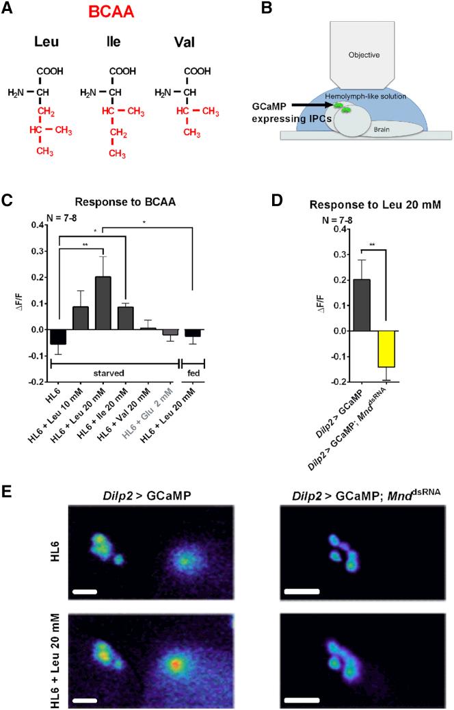 https://cdn.ncbi.nlm.nih.gov/pmc/blobs/df70/5055474/72ff42fae4ef/gr1.jpg