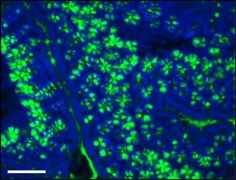 https://cdn.ncbi.nlm.nih.gov/pmc/blobs/df71/10962615/01b3873628af/KGMI_A_2331460_F0003_OC.jpg