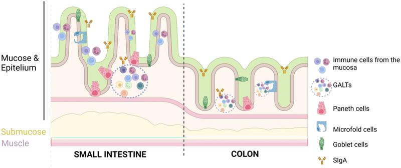https://cdn.ncbi.nlm.nih.gov/pmc/blobs/df71/10962615/45b10b0ba250/KGMI_A_2331460_F0007_OC.jpg