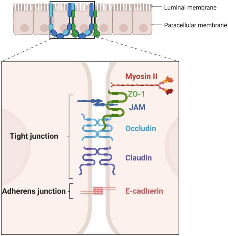 https://cdn.ncbi.nlm.nih.gov/pmc/blobs/df71/10962615/62bdb899ce2e/KGMI_A_2331460_F0004_OC.jpg