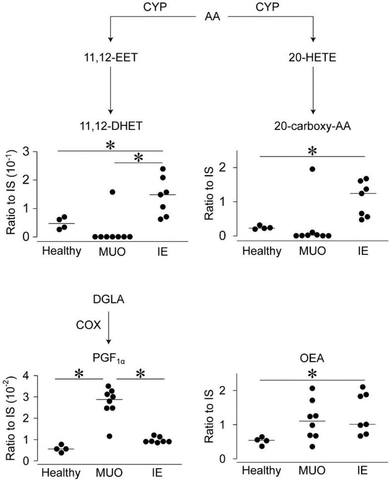 https://cdn.ncbi.nlm.nih.gov/pmc/blobs/df71/11232469/0fd1ee684880/fvets-11-1397868-g0002.jpg