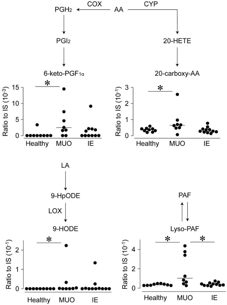 https://cdn.ncbi.nlm.nih.gov/pmc/blobs/df71/11232469/e20f3882a961/fvets-11-1397868-g0001.jpg