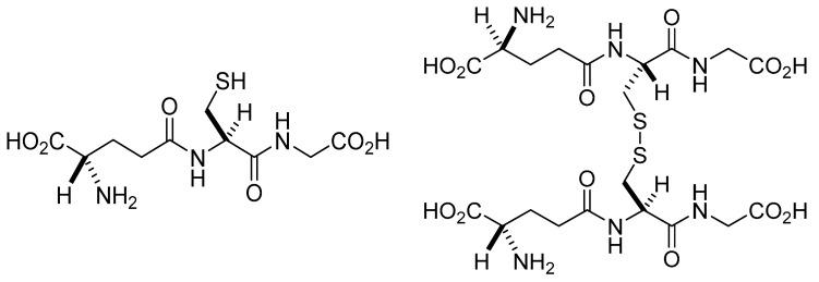 https://cdn.ncbi.nlm.nih.gov/pmc/blobs/df71/9919958/1cf80d241f3d/molecules-28-01447-g001.jpg
