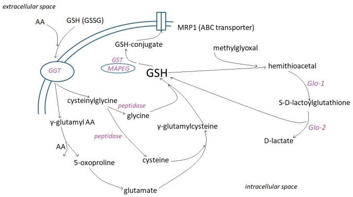 https://cdn.ncbi.nlm.nih.gov/pmc/blobs/df71/9919958/62075b28be1d/molecules-28-01447-g002.jpg