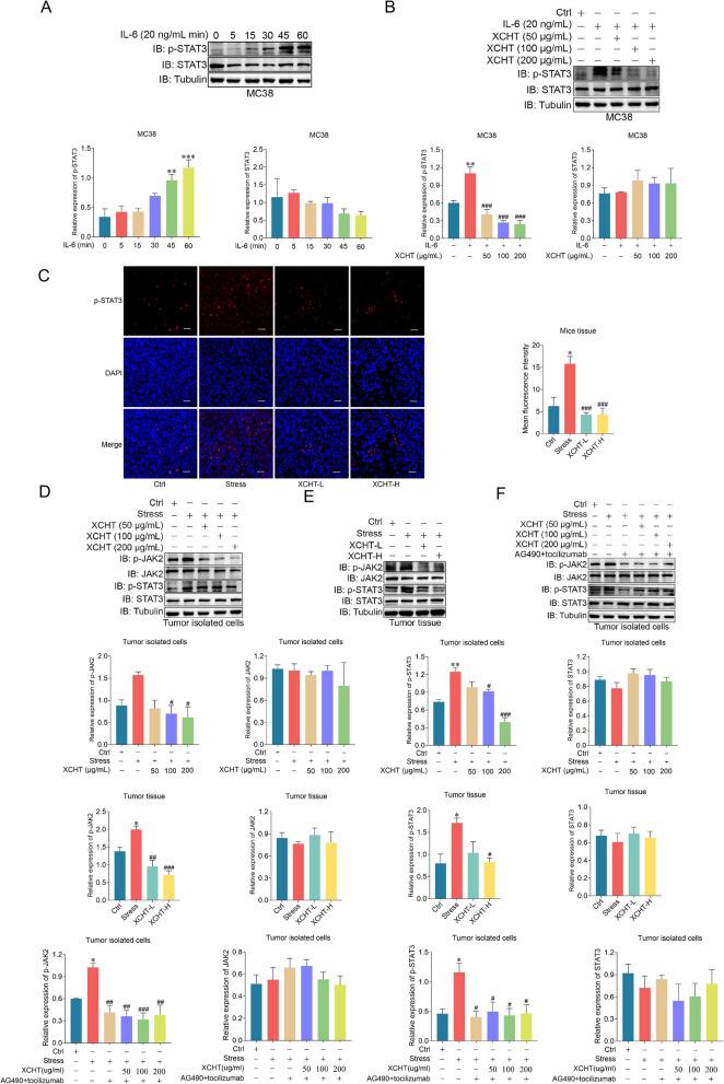 https://cdn.ncbi.nlm.nih.gov/pmc/blobs/df74/11992767/648adbcc157c/12906_2025_4860_Fig6_HTML.jpg