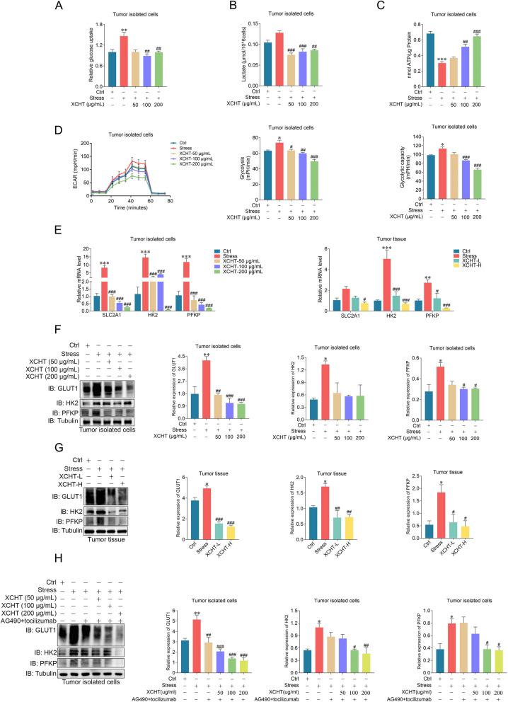 https://cdn.ncbi.nlm.nih.gov/pmc/blobs/df74/11992767/ae951e67a149/12906_2025_4860_Fig7_HTML.jpg