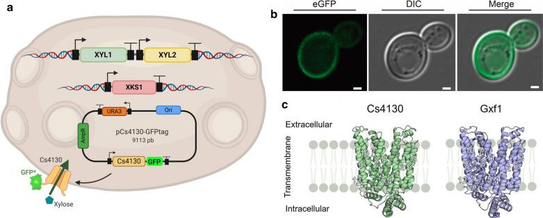 https://cdn.ncbi.nlm.nih.gov/pmc/blobs/df74/7427733/e0388925b0d6/13068_2020_1782_Fig2_HTML.jpg
