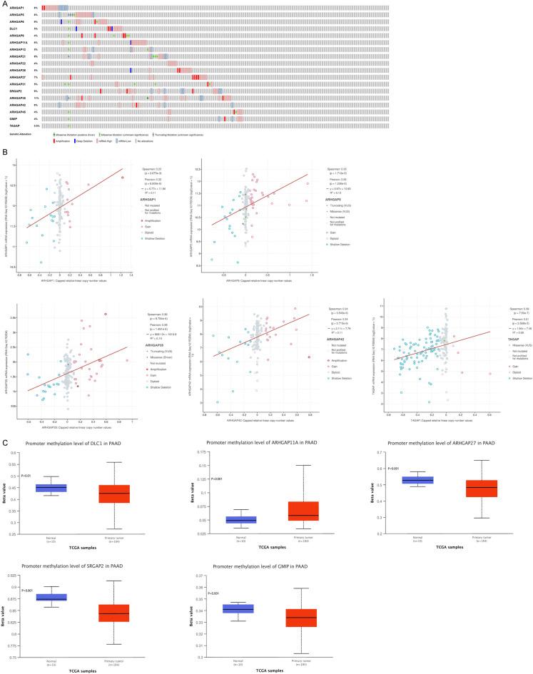 https://cdn.ncbi.nlm.nih.gov/pmc/blobs/df75/11116390/6ce0136fbd67/41598_2024_62577_Fig2_HTML.jpg