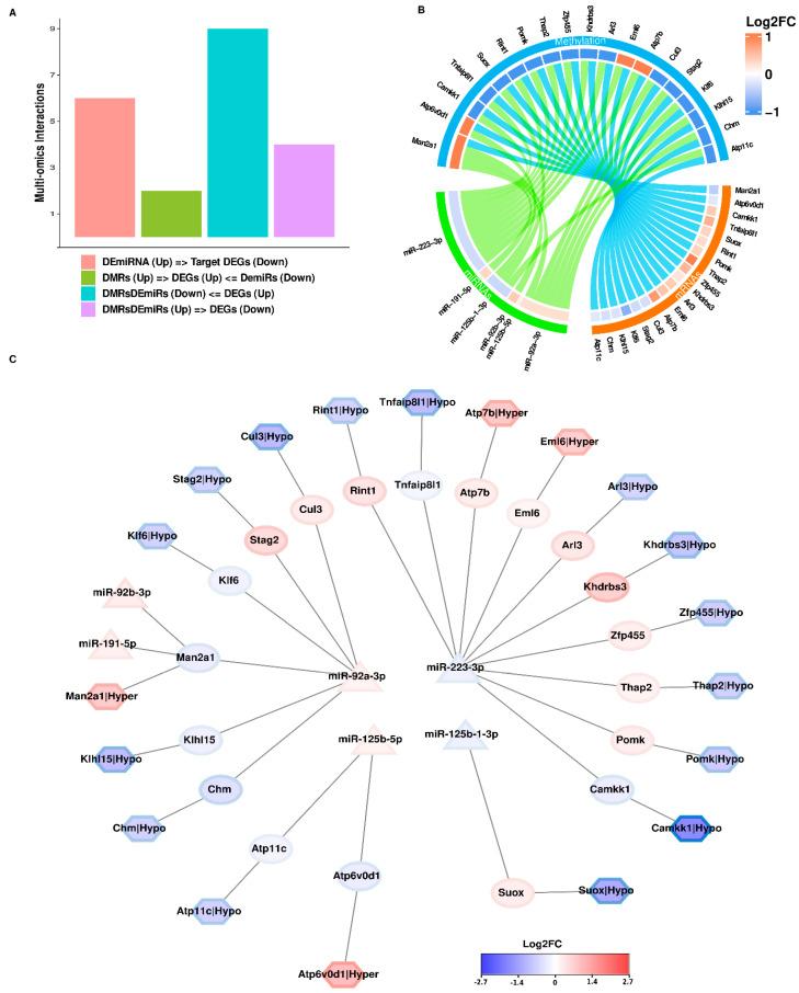 https://cdn.ncbi.nlm.nih.gov/pmc/blobs/df76/11476440/f4015f5e7311/cells-13-01667-g005.jpg