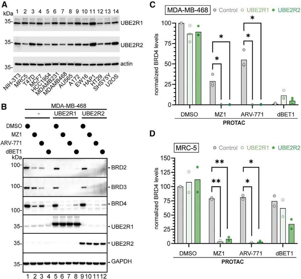 https://cdn.ncbi.nlm.nih.gov/pmc/blobs/df78/10997478/0add435a15f8/nihms-1965369-f0003.jpg