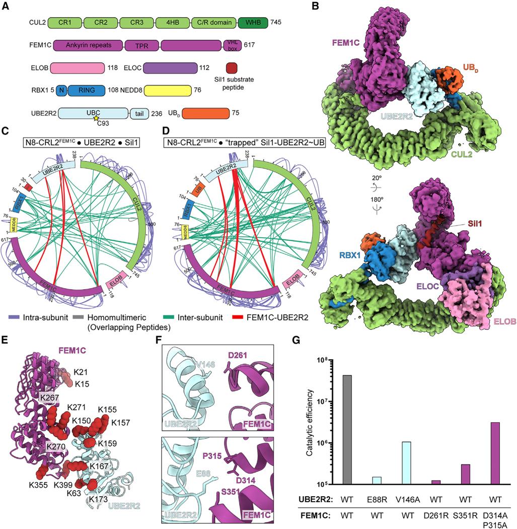 https://cdn.ncbi.nlm.nih.gov/pmc/blobs/df78/10997478/a05eba993962/nihms-1965369-f0005.jpg