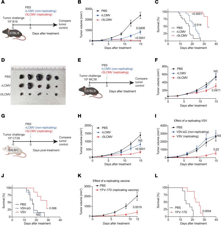 https://cdn.ncbi.nlm.nih.gov/pmc/blobs/df78/11290963/6ff93c1ade50/jci-134-178945-g086.jpg