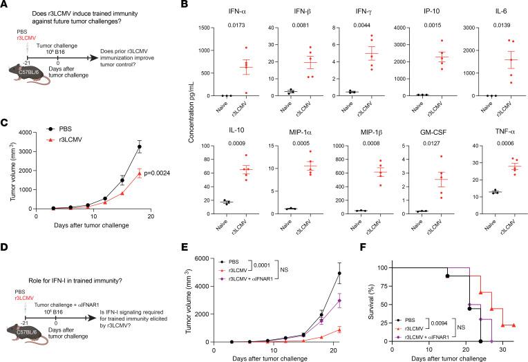 https://cdn.ncbi.nlm.nih.gov/pmc/blobs/df78/11290963/a402cbcb8e70/jci-134-178945-g092.jpg