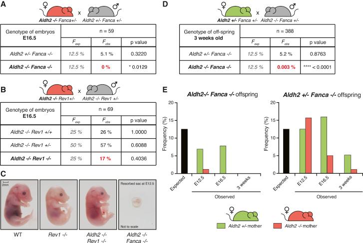 https://cdn.ncbi.nlm.nih.gov/pmc/blobs/df79/4175174/8a0f78d3f0bc/gr1.jpg
