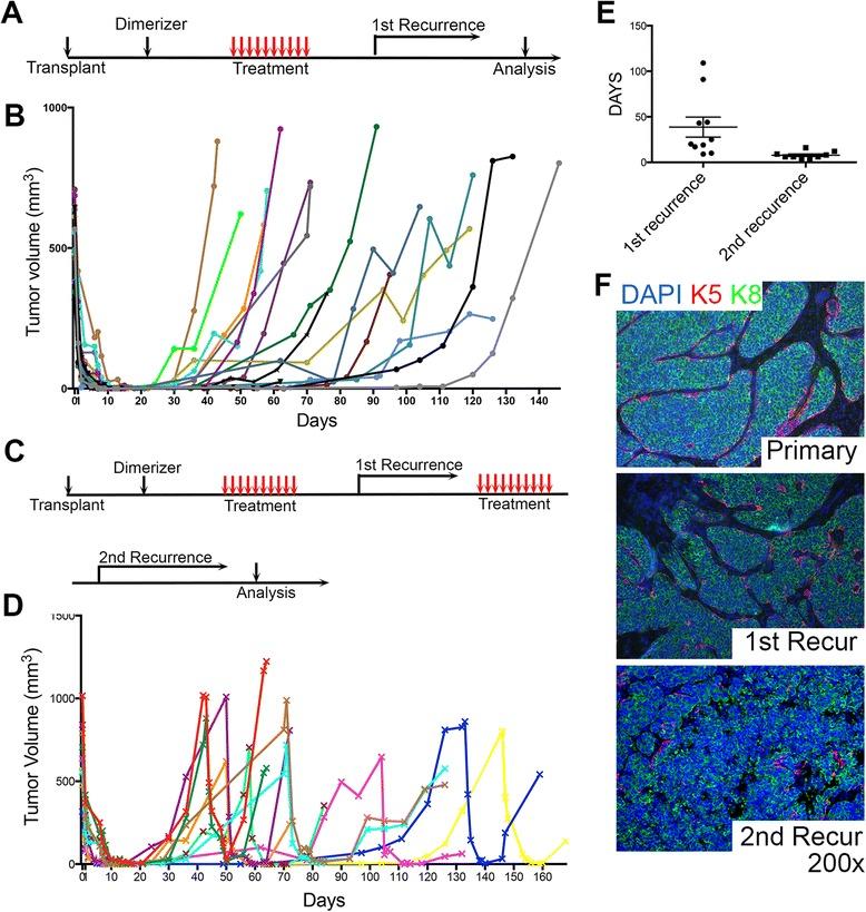 https://cdn.ncbi.nlm.nih.gov/pmc/blobs/df79/4652386/6b301443b3c1/13058_2015_649_Fig3_HTML.jpg