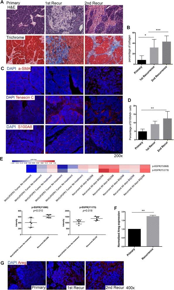 https://cdn.ncbi.nlm.nih.gov/pmc/blobs/df79/4652386/98cc3fbce0dc/13058_2015_649_Fig5_HTML.jpg