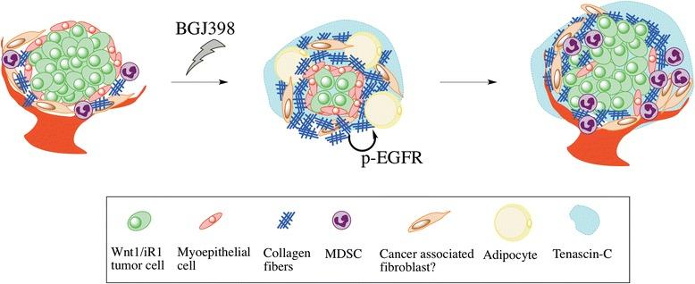 https://cdn.ncbi.nlm.nih.gov/pmc/blobs/df79/4652386/f41606bc8a72/13058_2015_649_Fig7_HTML.jpg
