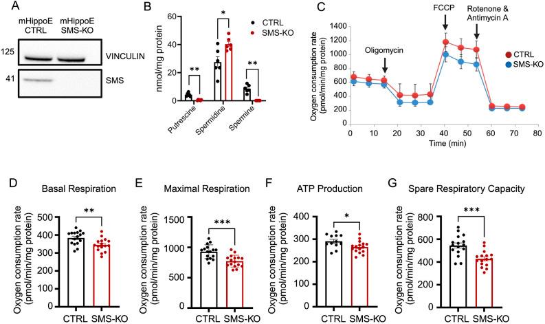 https://cdn.ncbi.nlm.nih.gov/pmc/blobs/df7c/11103582/04362618fd70/dmm-17-050639-g8.jpg