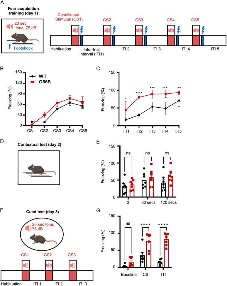 https://cdn.ncbi.nlm.nih.gov/pmc/blobs/df7c/11103582/75b7784481af/dmm-17-050639-g5.jpg