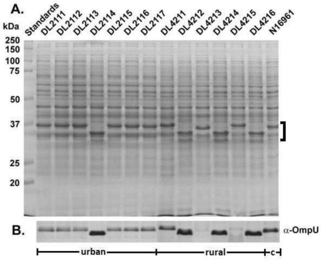 https://cdn.ncbi.nlm.nih.gov/pmc/blobs/df7c/12222903/423e0180b95a/41598_2025_4734_Fig4_HTML.jpg