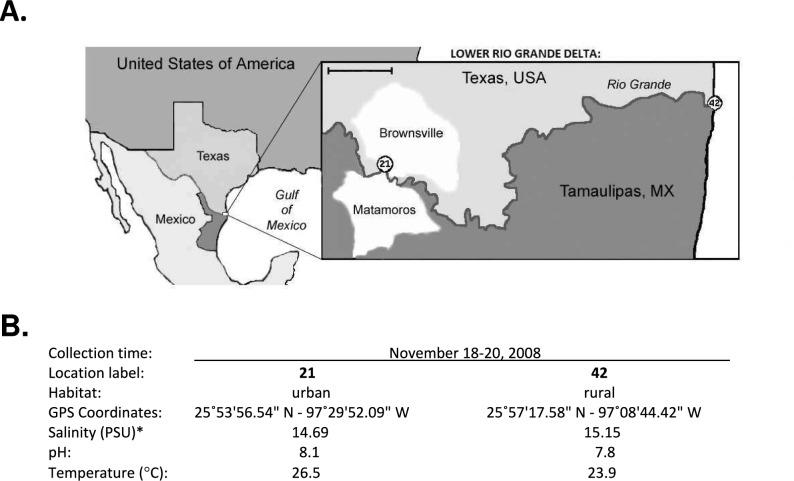 https://cdn.ncbi.nlm.nih.gov/pmc/blobs/df7c/12222903/b53f74bd613c/41598_2025_4734_Fig1_HTML.jpg