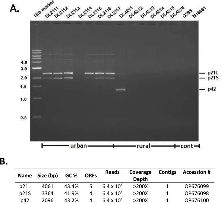 https://cdn.ncbi.nlm.nih.gov/pmc/blobs/df7c/12222903/d3b0b87e5cfb/41598_2025_4734_Fig2_HTML.jpg