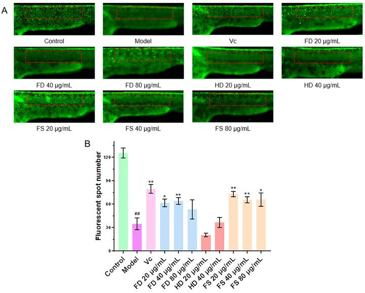 https://cdn.ncbi.nlm.nih.gov/pmc/blobs/df80/11941059/b595aab08b7f/foods-14-00915-g005.jpg