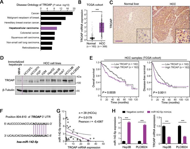 https://cdn.ncbi.nlm.nih.gov/pmc/blobs/df80/7838256/4b115d696b46/41419_2021_3422_Fig7_HTML.jpg