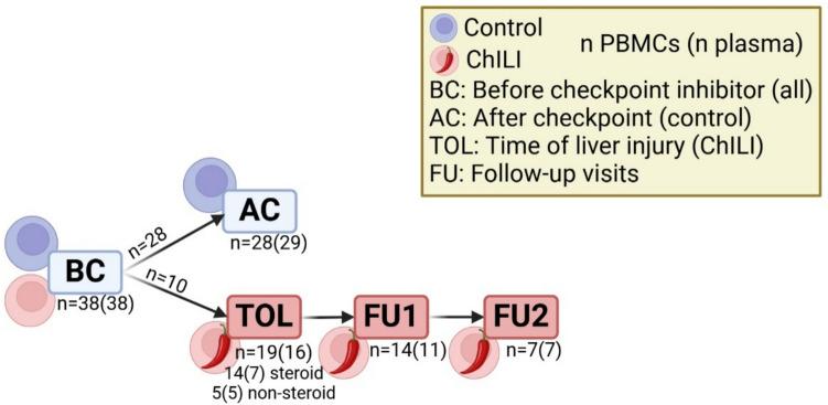 https://cdn.ncbi.nlm.nih.gov/pmc/blobs/df81/12049347/4e8a140a82ee/262_2025_4033_Fig1_HTML.jpg
