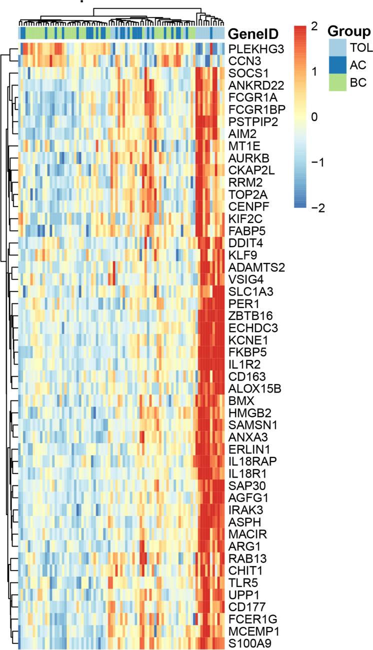 https://cdn.ncbi.nlm.nih.gov/pmc/blobs/df81/12049347/54977edd0203/262_2025_4033_Fig3_HTML.jpg