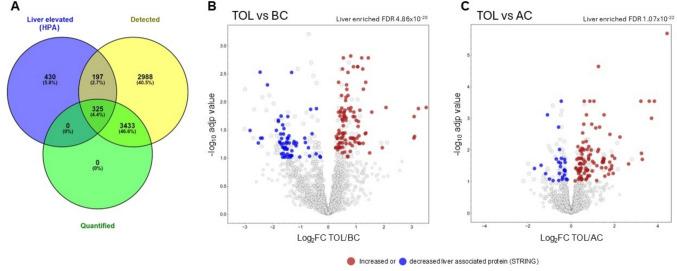 https://cdn.ncbi.nlm.nih.gov/pmc/blobs/df81/12049347/d5144a9c4d46/262_2025_4033_Fig5_HTML.jpg