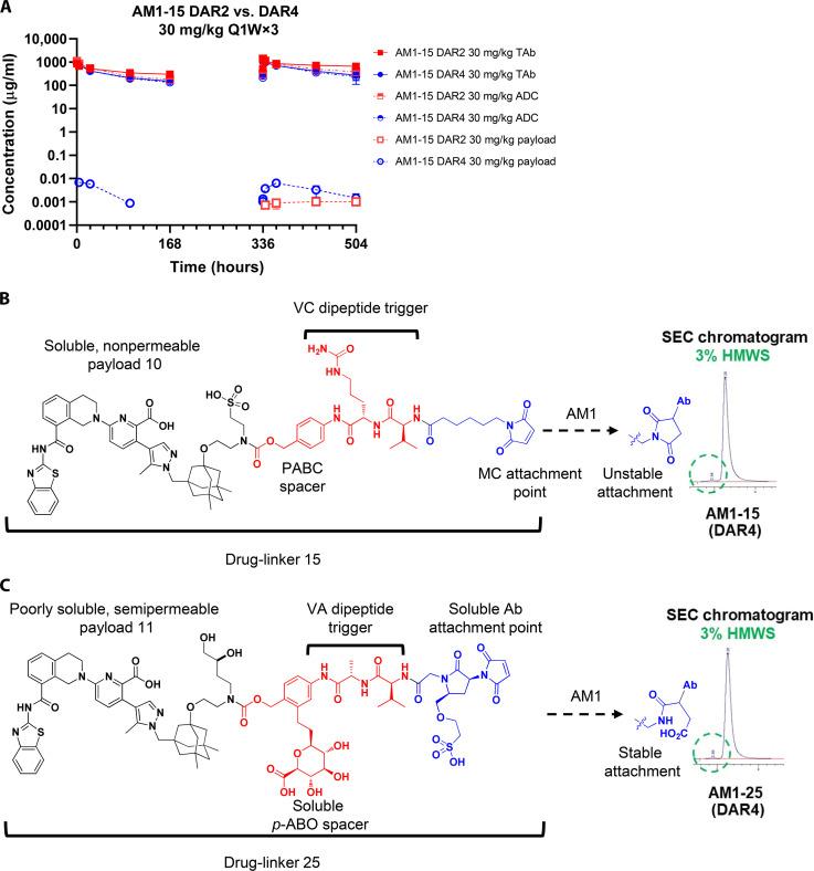 https://cdn.ncbi.nlm.nih.gov/pmc/blobs/df82/11451551/aca9a1f3aa45/sciadv.ado7120-f5.jpg