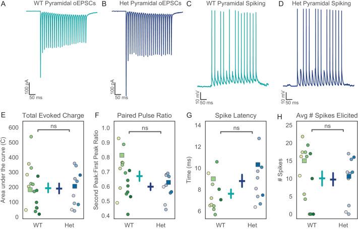 https://cdn.ncbi.nlm.nih.gov/pmc/blobs/df85/7682992/193f9d662d8f/elife-54835-fig5.jpg