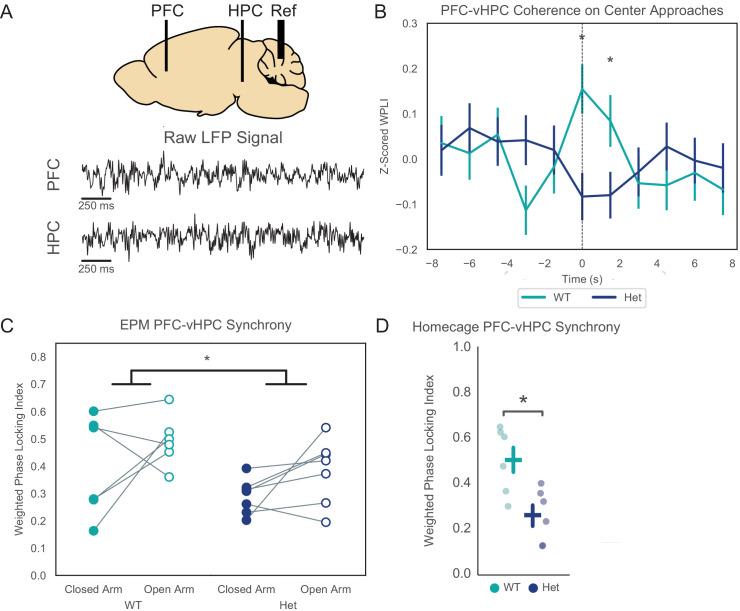 https://cdn.ncbi.nlm.nih.gov/pmc/blobs/df85/7682992/490b9e607133/elife-54835-fig2.jpg